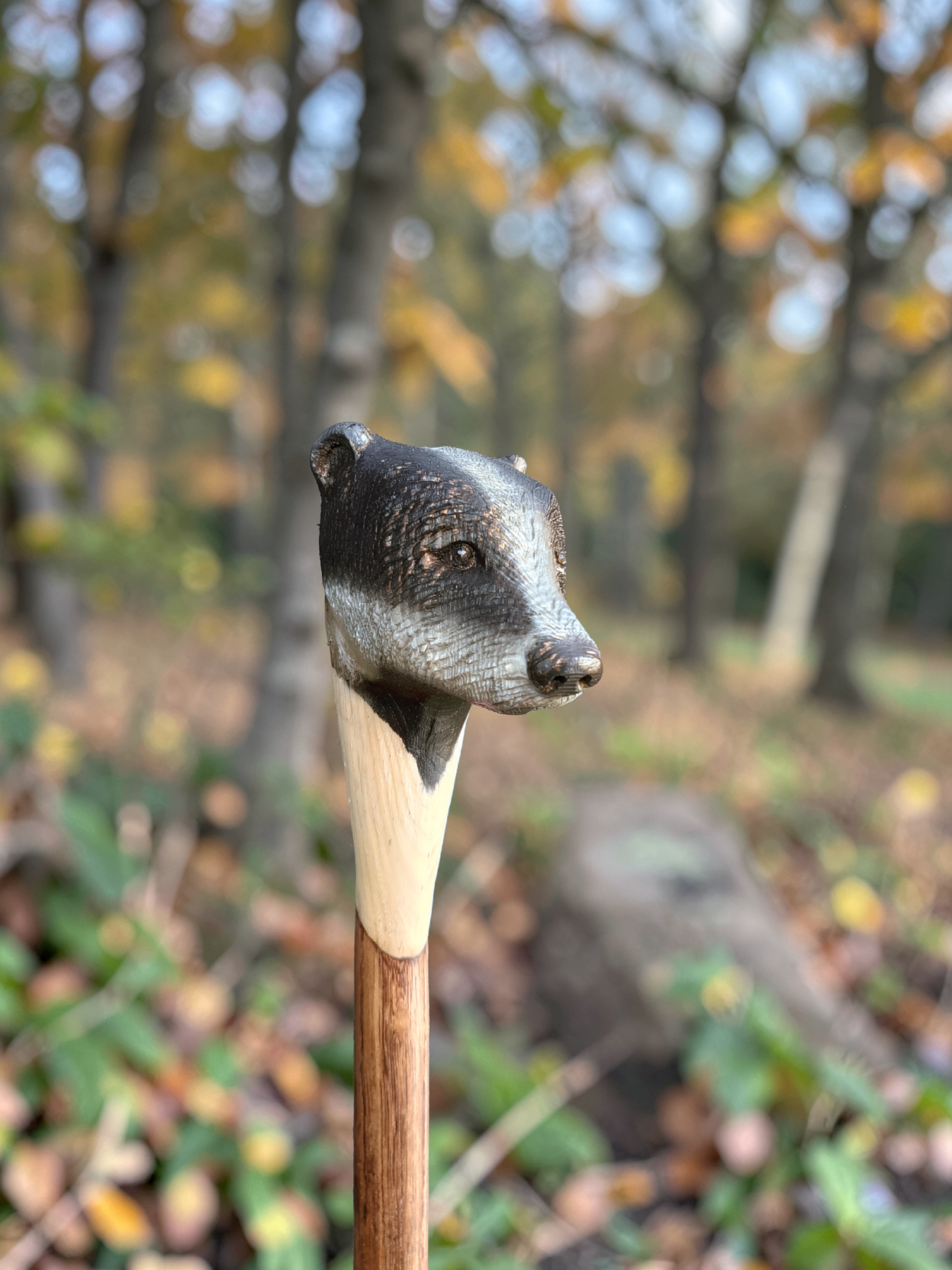 Badger walking stick