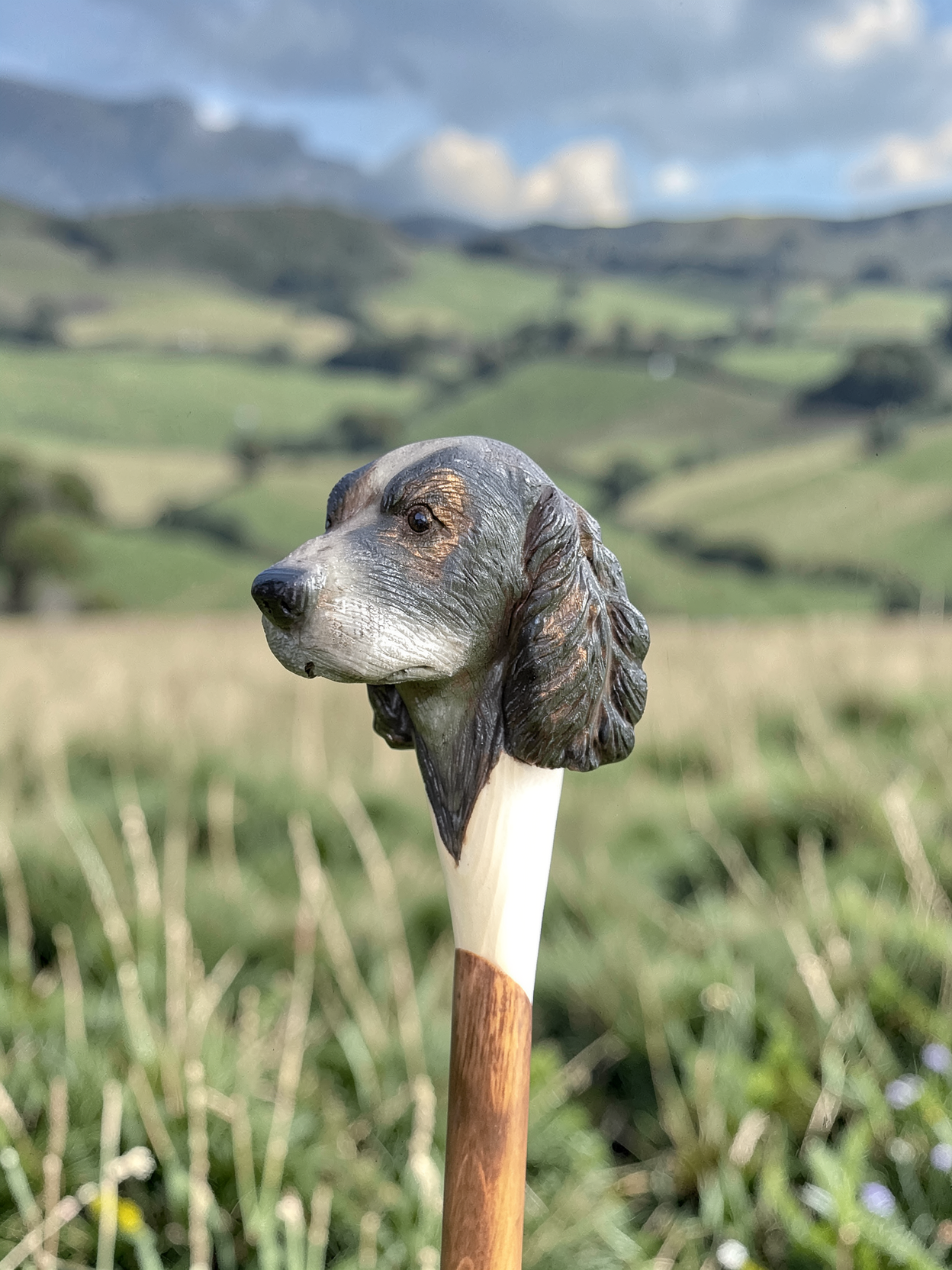 Black and white springer spaniel walking stick