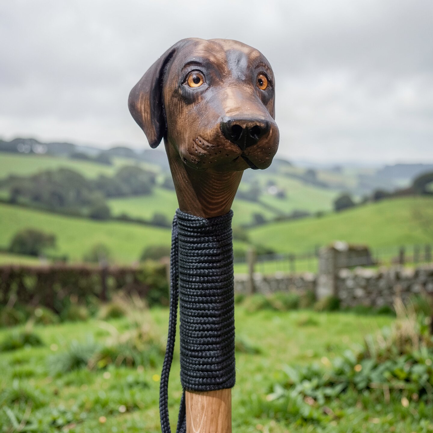 Brown labrador walking stick