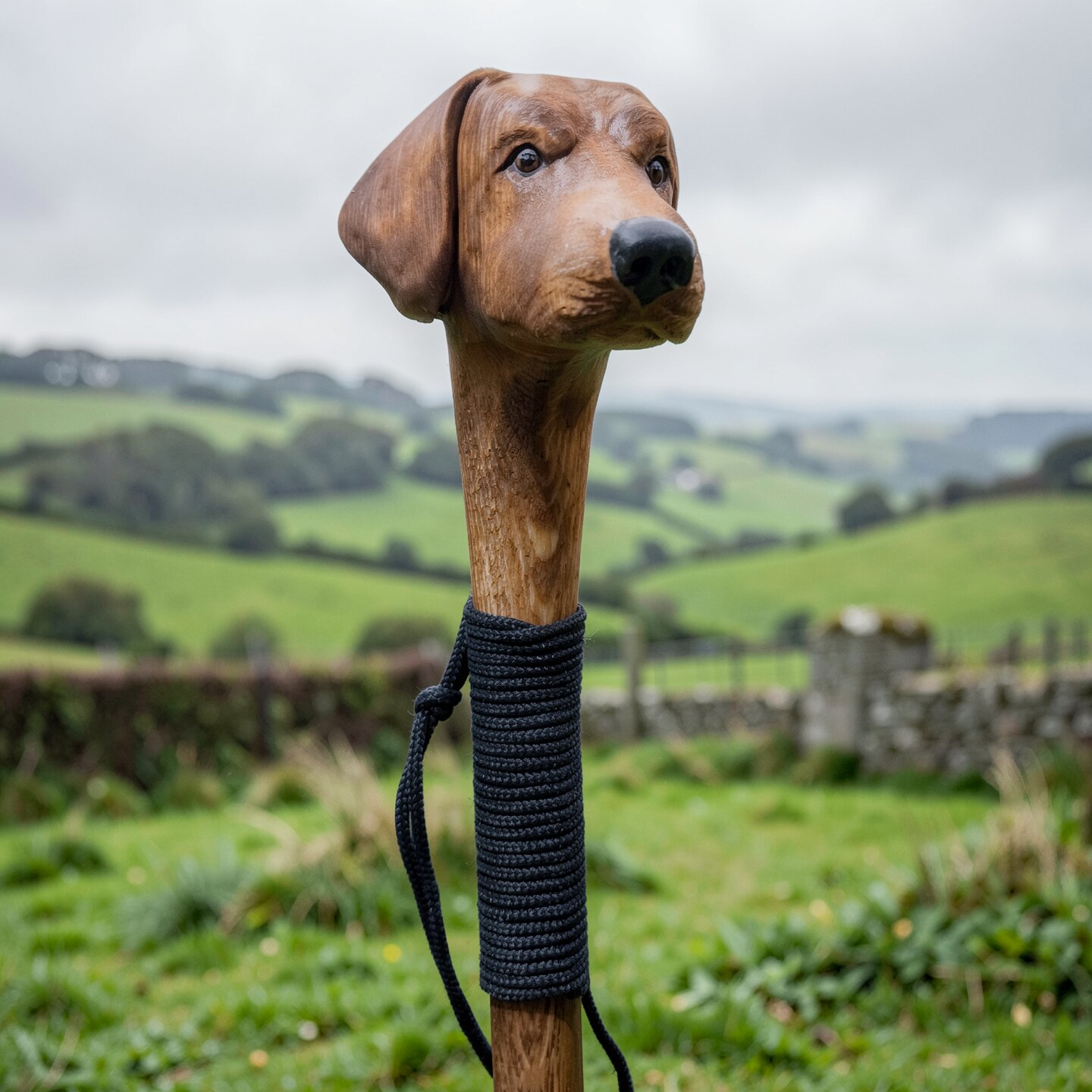 Red labrador walking stick